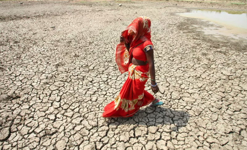 प्रचण्ड गर्मीले तराईकाे जनजीवन प्रभावित : विद्यालयहरू बन्द, अस्पतालमा बिरामीकाे भिड